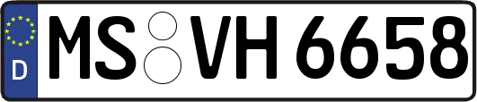 MS-VH6658