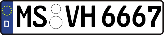 MS-VH6667