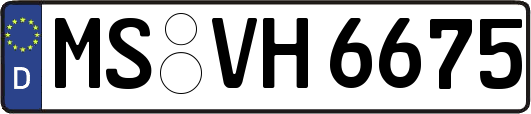MS-VH6675