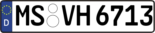 MS-VH6713