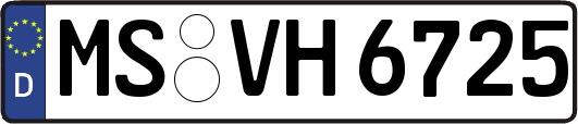 MS-VH6725