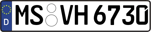 MS-VH6730