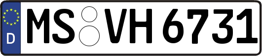 MS-VH6731
