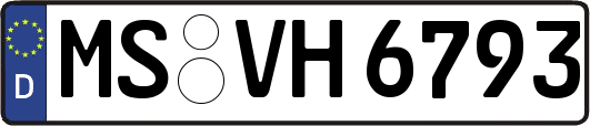 MS-VH6793