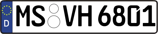 MS-VH6801