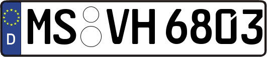 MS-VH6803