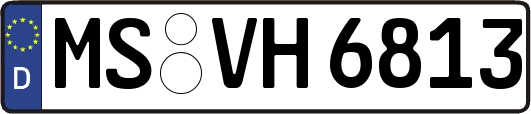 MS-VH6813