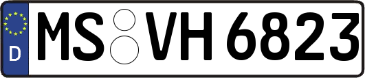 MS-VH6823
