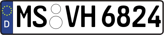 MS-VH6824