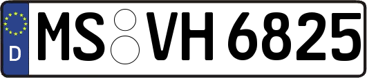 MS-VH6825