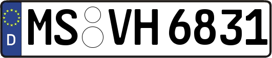 MS-VH6831