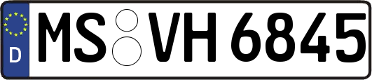 MS-VH6845