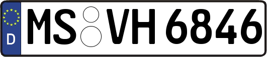 MS-VH6846