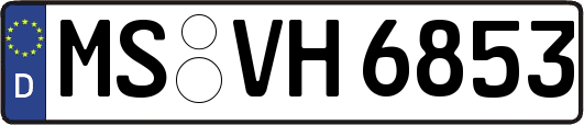 MS-VH6853