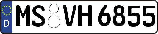 MS-VH6855