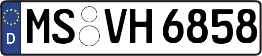 MS-VH6858