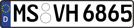 MS-VH6865