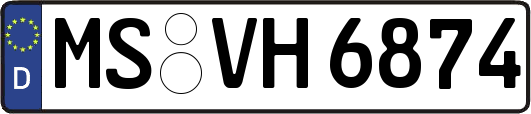 MS-VH6874