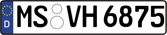 MS-VH6875