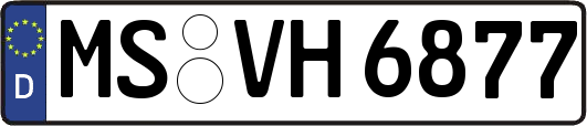 MS-VH6877