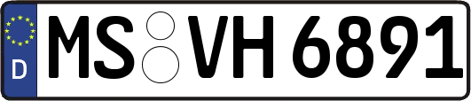 MS-VH6891