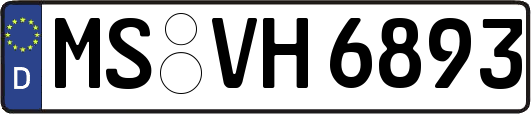 MS-VH6893