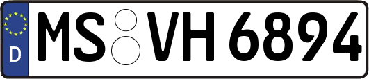 MS-VH6894
