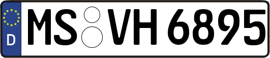 MS-VH6895