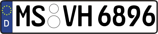 MS-VH6896