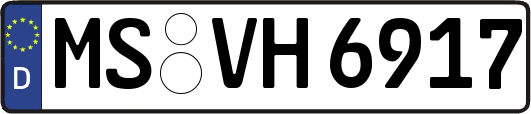 MS-VH6917