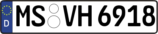 MS-VH6918
