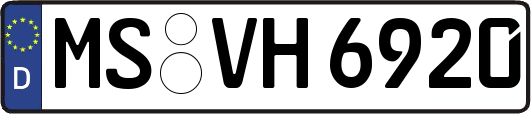 MS-VH6920