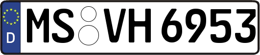 MS-VH6953