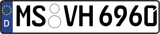 MS-VH6960