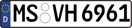 MS-VH6961