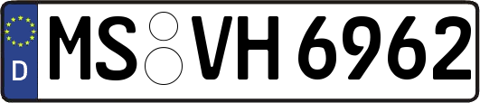 MS-VH6962