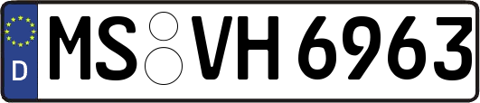 MS-VH6963