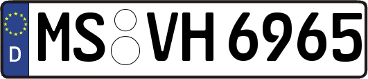 MS-VH6965