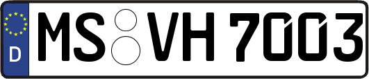 MS-VH7003