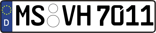 MS-VH7011