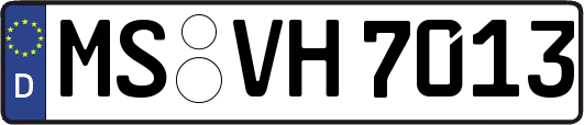 MS-VH7013