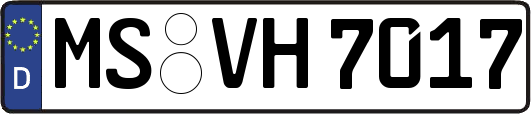MS-VH7017