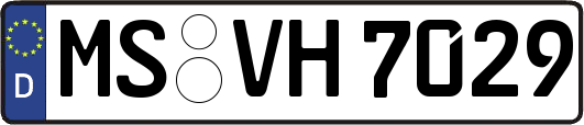 MS-VH7029