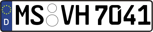 MS-VH7041