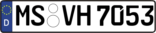 MS-VH7053