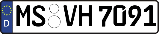 MS-VH7091