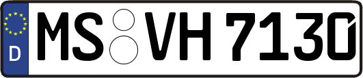MS-VH7130