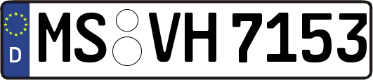 MS-VH7153