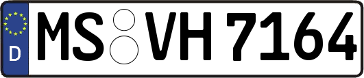 MS-VH7164