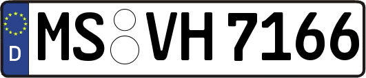 MS-VH7166